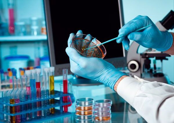 LABORATORIO